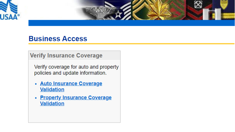 Partners USAA account access